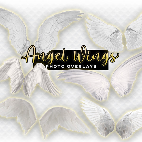 Heavenly Angel Wings - Dark Evil Wings Included - Set of 4 Photographer Overlays