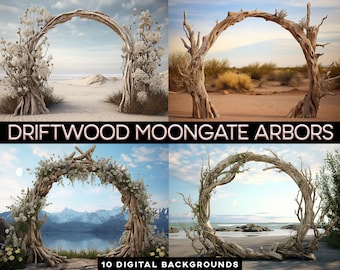 Driftwood Moongate Arbors Wedding BG Beach Arbor Flower Archway Drift Wood Wooden Archway Digital Background Artwork Art BG