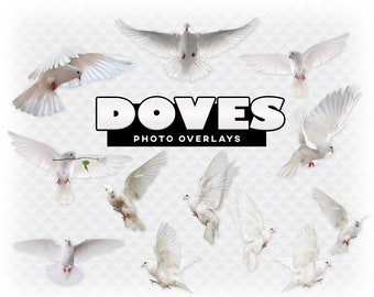 White Doves Overlay Photoshop Overlays for Photoshop. Digital Scrapbooking. Composite Dove Transparent Flying Doves Digital Overlay Dove PNG
