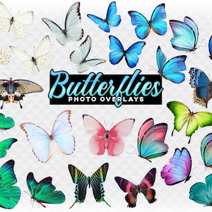 Butterflies Overlay Photoshop Overlays for Photoshop. Scrapbooking and Composite. Download PNG Clipart Butterfly Photo Overlay Transparent