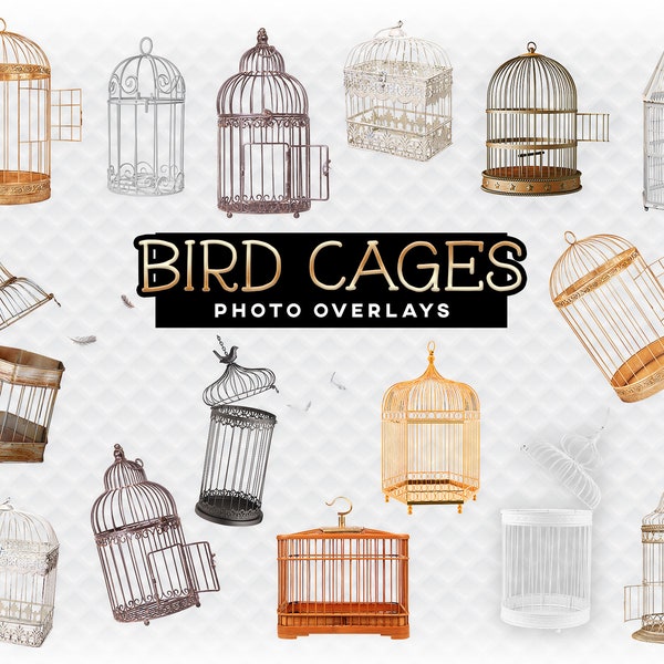 Bird Cages Overlays - For Photographers, Scrapbook, and More. Very High Quality Holiday Clip Art Birdcage Overlay