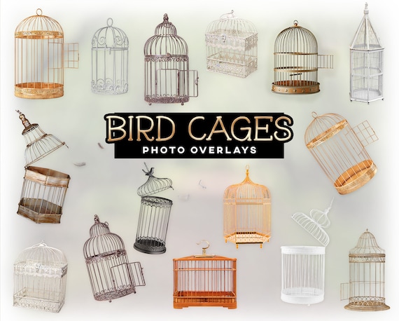 Quality bird cages best sale