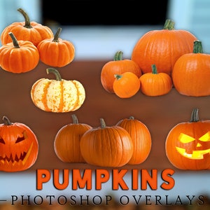 May include: A collection of orange pumpkins of various sizes and shapes, including some carved with jack-o'-lantern faces.  The pumpkins are arranged on a wooden surface.  The text "PUMPKINS PHOTOSHOP OVERLAYS" is displayed at the bottom of the image.