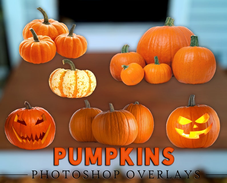 May include: A collection of orange pumpkins of various sizes and shapes, including some carved with jack-o'-lantern faces.  The pumpkins are arranged on a wooden surface.  The text "PUMPKINS PHOTOSHOP OVERLAYS" is displayed at the bottom of the image.
