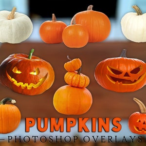 May include: A collection of nine pumpkins, some carved with jack-o'-lantern faces, others plain. The pumpkins are various sizes and colors, including orange, white, and a stack of smaller pumpkins. The image is labeled "Pumpkins Photoshop Overlays".