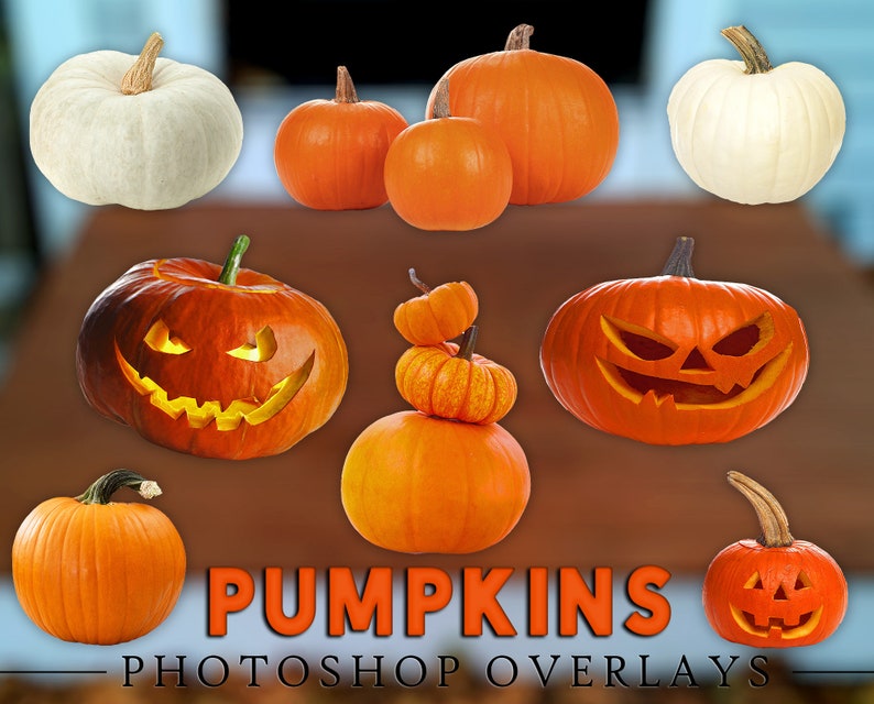 May include: A collection of nine pumpkins, some carved with jack-o'-lantern faces, others plain. The pumpkins are various sizes and colors, including orange, white, and a stack of smaller pumpkins. The image is labeled "Pumpkins Photoshop Overlays".