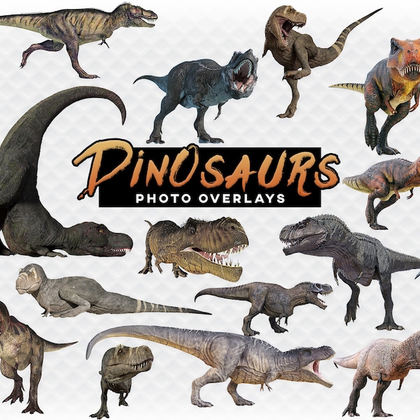 T-Rex Dinosaurs Overlay Photoshop Overlays for Photographers, Invitations, Scrapbooking, and More. High Quality Instant Download PNG Clipart