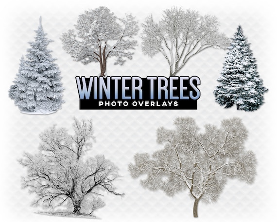 Winter Trees Overlay Photoshop Overlays for Photoshop. Digital | Etsy