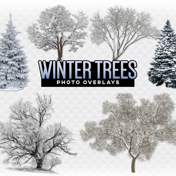 Winter Trees Overlay Photoshop Overlays for Photoshop. Digital Scrapbooking. Composite. PNG Winter Tree Snowy Tree PNG Transparent Overlay