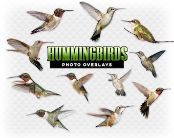 Hummingbirds Overlays - For Photographers, Scrapbook, and More. Very High Quality Clip Art Hummingbird Overlay