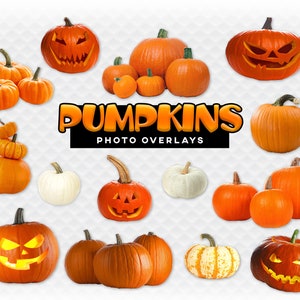 Pumpkins Photoshop Overlays, Halloween Scrapbooking. Composite. High Quality Instant Download Clipart Pumpkin Photo Overlay Pumpkin PNG