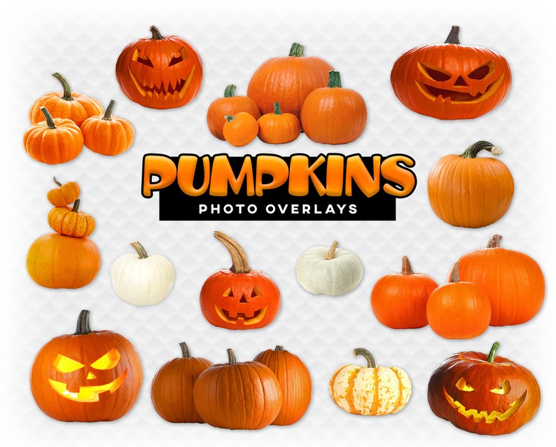 May include: A collection of orange pumpkins of various sizes and shapes, some carved with jack-o'-lantern faces, others plain. The pumpkins are arranged on a white background with the text "PUMPKINS PHOTO OVERLAYS" in a black banner.