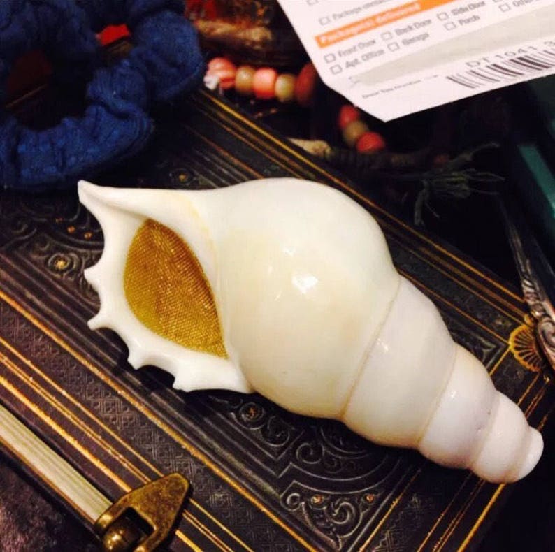 The Magic Conch Large Size White by ShellPipe Free pipe & screens w/ every order Shell Pipe Seashell Pipe Natural Smoking Pipe image 2