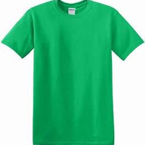 May include: A solid green crew neck t-shirt. The short-sleeved shirt is made of a soft material and is suitable for casual wear. The Gildan brand tag is visible on the collar.