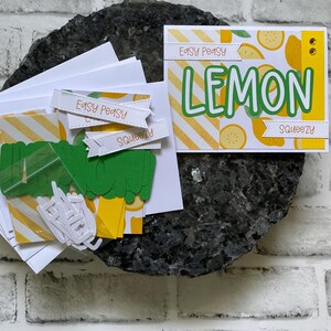 Kit de fabrication de cartes, Fruits citronnés, Adultes, Enfants, Juste parce que, Je pense à vous, Paquet de 4, Vierge à l'intérieur, Kit de cartes de voeux, Cartes préfabriquées
