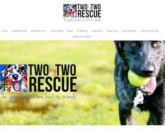 Sito Web reattivo WordPress personalizzato