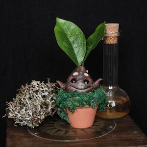 Könnte beinhalten: Eine kleine braune und grüne Topfpflanze mit einem lächelnden Gesicht und zwei grünen Blättern. Die Pflanze steht auf einer Holzoberfläche neben einer durchsichtigen Glasflasche mit einem Korkverschluss.