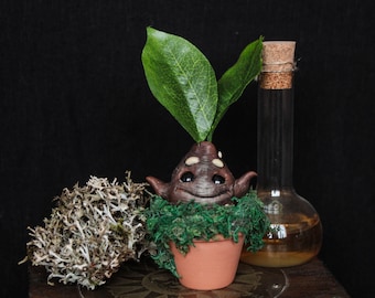 Улыбающаяся миниатюрная скульптура мандрагоры, статуэтка mandragora herbology, корень мандрагоры, кукла Mandragora OOAK
