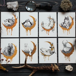 Arctic Animals Crescent Moon Set di 8 stampe artistiche A6, Woodland Forest Habitants Postcards Set, Witchy Moon Art Print