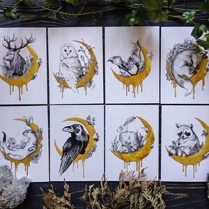 Forest Animals Crescent Moon Set de 8 tirages d’art A6, Woodland Forest Habitants Postcards Set, Witchy Moon Art Print