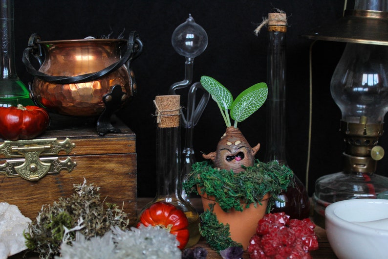 mandrake root scream mandrake root scream