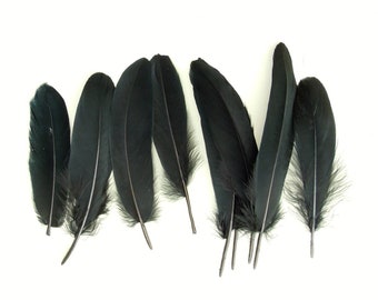 50 Black feathers 6-7 inch, Black quills, Real feathers, Black bird feathers, Natural feathers, Black craft feathers
