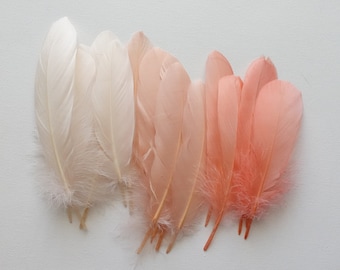 30 Feathers for millinery peach orange color combination