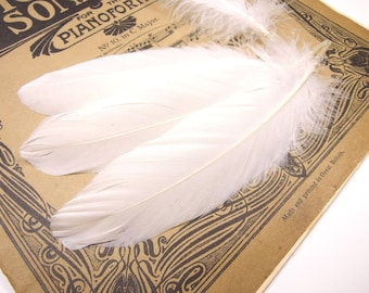 25 Natural white feathers, Undyed real bird feathers, Wedding decor