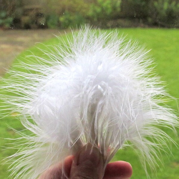 20 White small Marabou fluffy feathers 7-15 c long