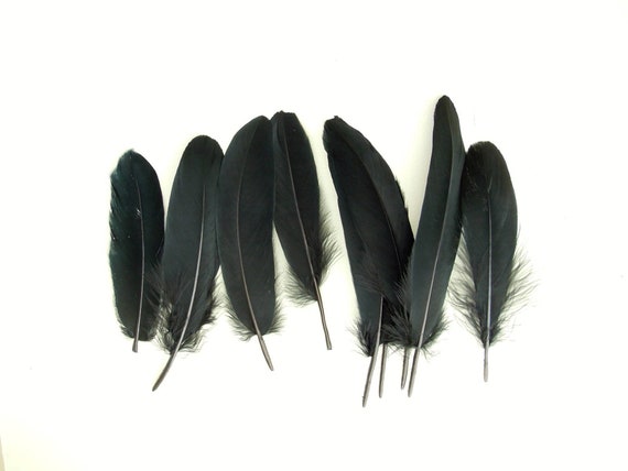 50 Black Feathers 6-7 Inch, Black Quills, Real Feathers, Black Bird Feathers,  Natural Feathers, Black Craft Feathers 