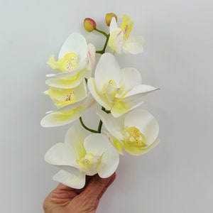 6 Artificial White Orchid flowers realistic looking