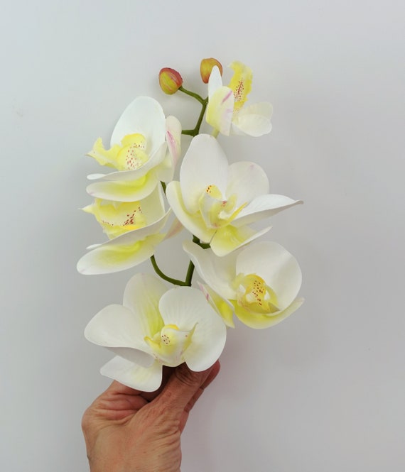 6 Fleurs dorchidées blanches artificielles daspect réaliste - Etsy France