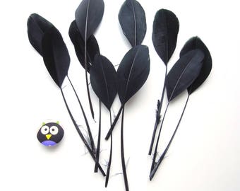 10 pcs BLACK stripped feathers. Black coque tail feathers. Long black feathers. Trimmed black feathers. Loose black feathers 8-12cm.