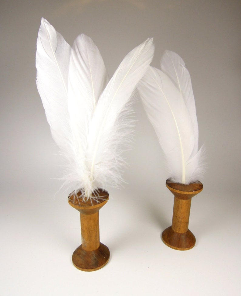 25 Natural white feathers, Undyed real bird feathers, Wedding decor zdjęcie 3