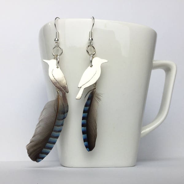 Eurasian jay silver earrings with real natural feathers (Garrulus glandarius)