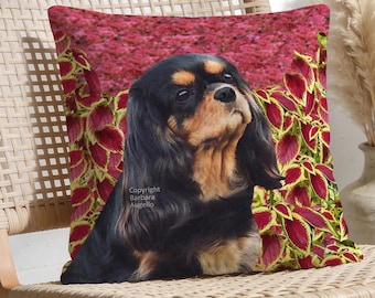 Cavalier King Charles Spaniel Throw Pillow: With Insert or Cover Only, Cavalier Black Tan Gift