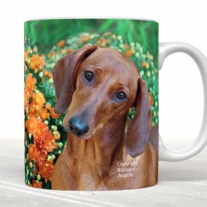 Dachshund Mug, Dachshund Gift, Red Dachshund