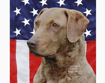 Chesapeake Bay Retriever American Flag: Chessie Garden Art 12"x18" & 28"x40"