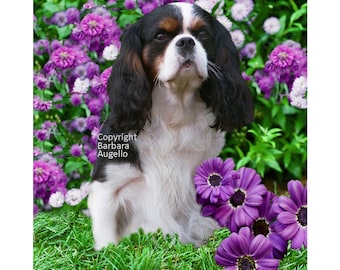 Cavalier King Charles Spaniel Tricolor Flag: Garden Art 12"x18" & 28"x40"