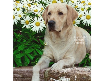 Yellow Lab Flag: Labrador Lover Gift, Garden Art 12"x18" and 28"x40"