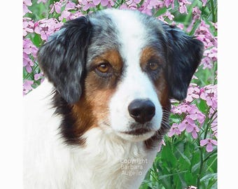Australian Shepherd Flag: 12"x18" & 28"x40" Garden Art, Blue Aussie Gift