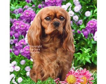 Cavalier King Charles Spaniel Ruby Flag: Garden Art 12"x18" & 28"x40"