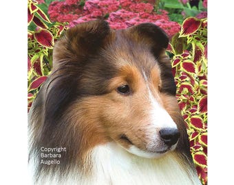 Sheltie Flag: Sable Sheltie Gift, Garden Art 12"x18" & 28"x40"