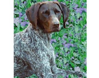 German Shorthaired Pointer Flag: Garden Art 28"x40" & 12"x18", GSP Lover Gift
