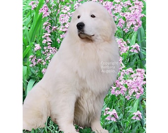 Great Pyrenees Flag: Garden Art 28" x 40" & 12" x 18", Pyr Lover Gift