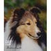 see more listings in the Dog Breed Flags section