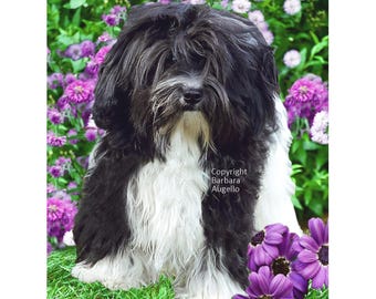 Havanese Flag: Garden Art 28"x40" & 12"x18", Havanese Lover Gift