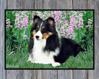 Sheltie Door Mat, Sheltie Tricolor Gift, Sheltie Floor Mat