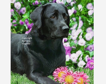 Black Lab Flag: Garden Art 12x18 & 28x40, Labrador Retriever Gift