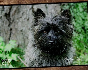 Cairn Terrier Door Mat, Cairn Terrier Gift, Cairn Terrier Floor Mat, Cairn Terrier Art